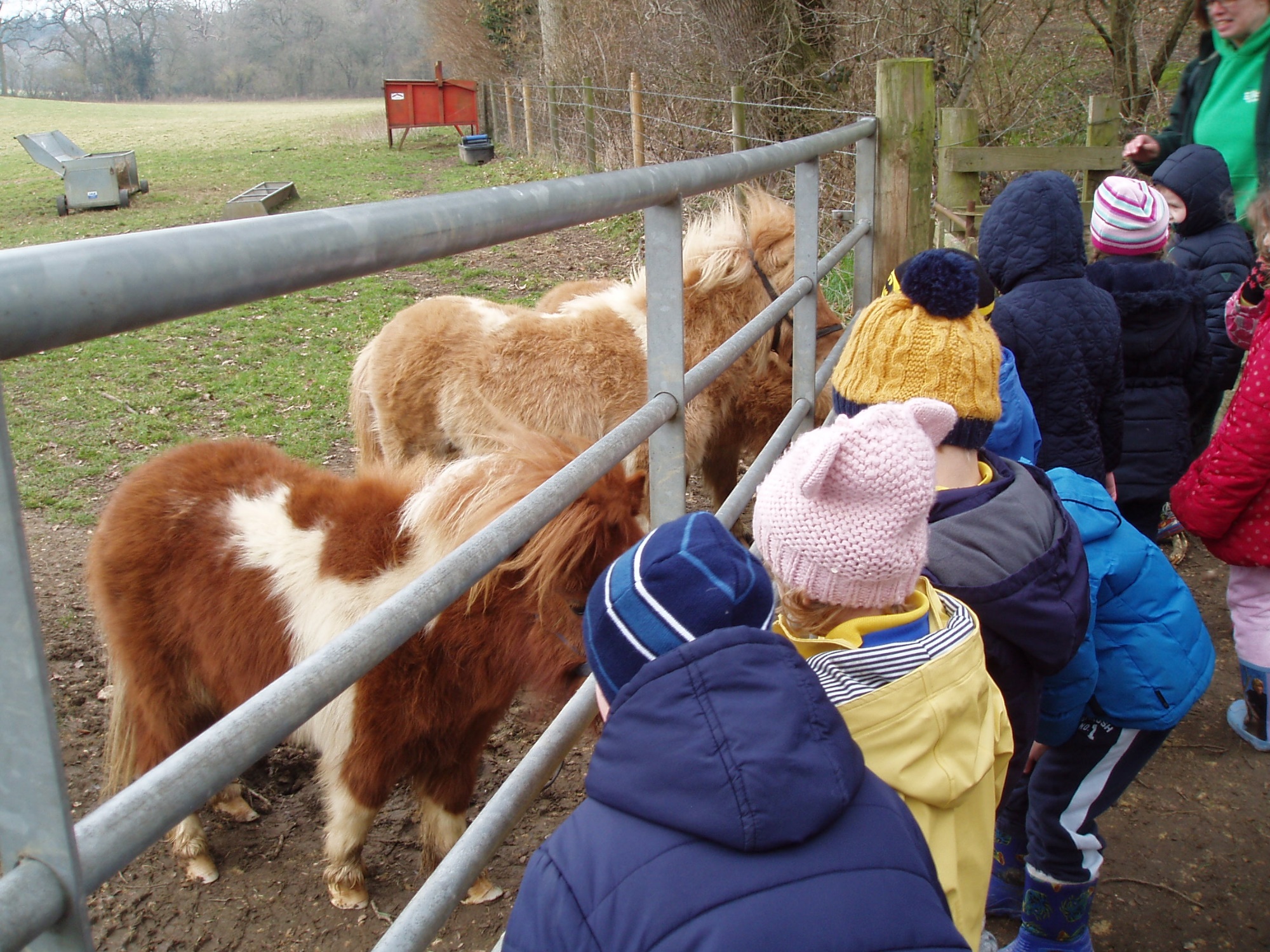 The Piggott School Foundation Class Trip to Rushall Farm
